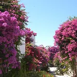 Hotel Astir Of 5*