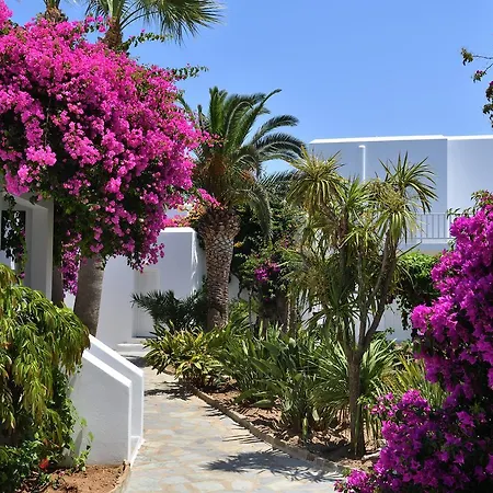 Astir Of Hotel Parikia (Paros)
