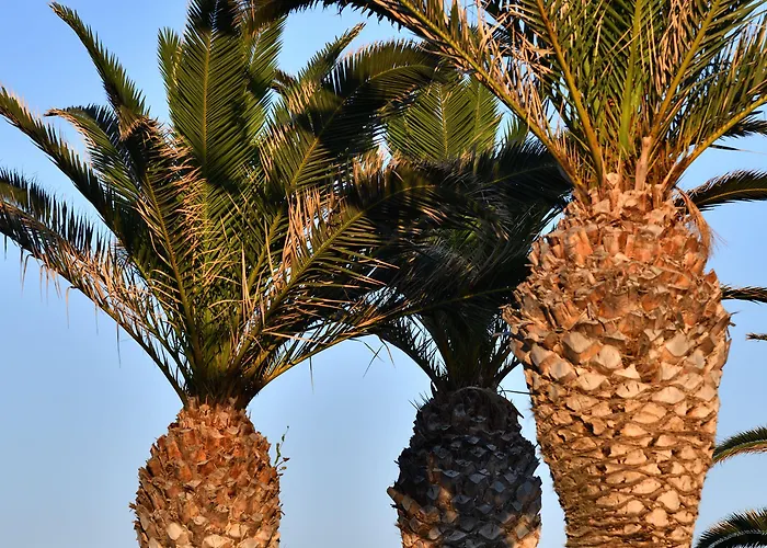 Hotel Astir Of Páros